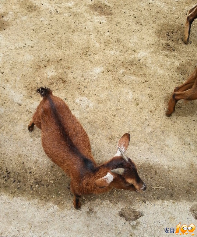 20140607_130755.jpg