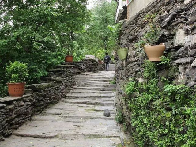 3214af927143355ccc25275c1525ef0e.jpg