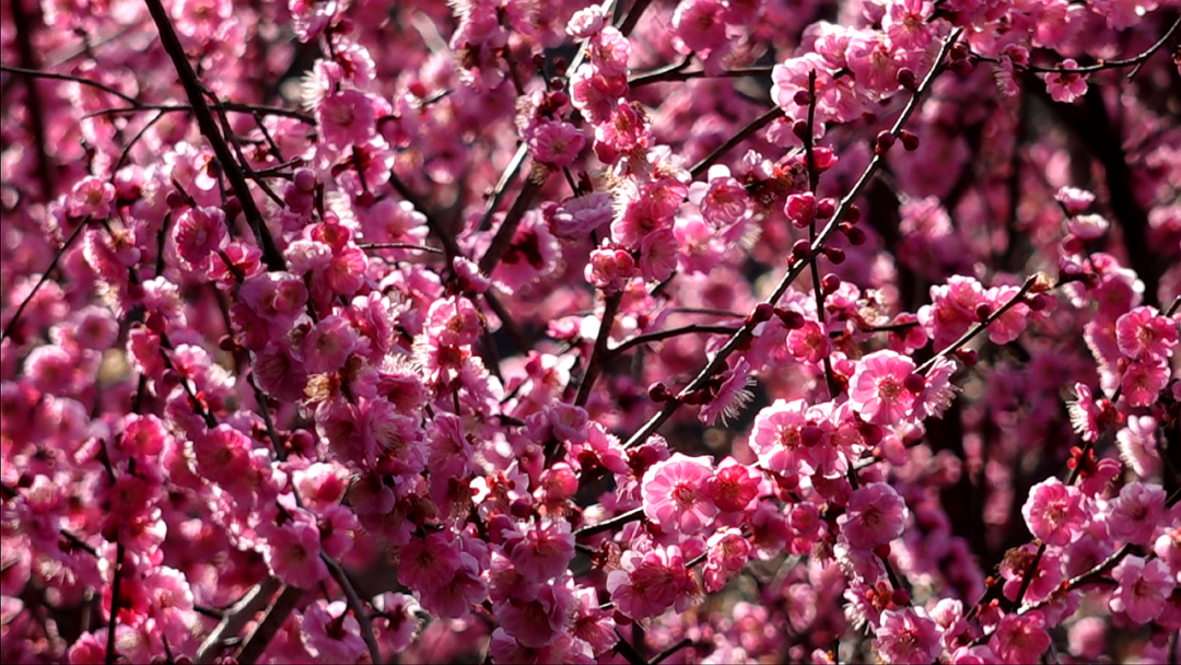 4fd1589583d27aced531453b73ef3140.png